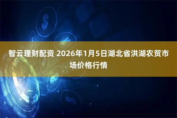 智云理财配资 2026年1月5日湖北省洪湖农贸市场价格行情