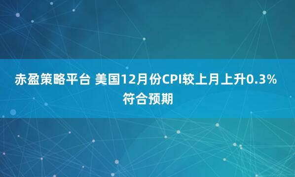 赤盈策略平台 美国12月份CPI较上月上升0.3% 符合预期